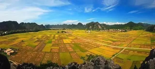 中國經(jīng)濟體制改革基金會全國第一！中國改革熱度第三方評估出爐，云浮宣傳系數(shù)在全國343個城市居首位                             